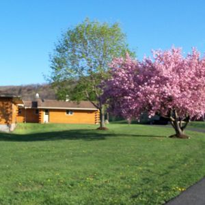 Meet your Posher, Ashlee